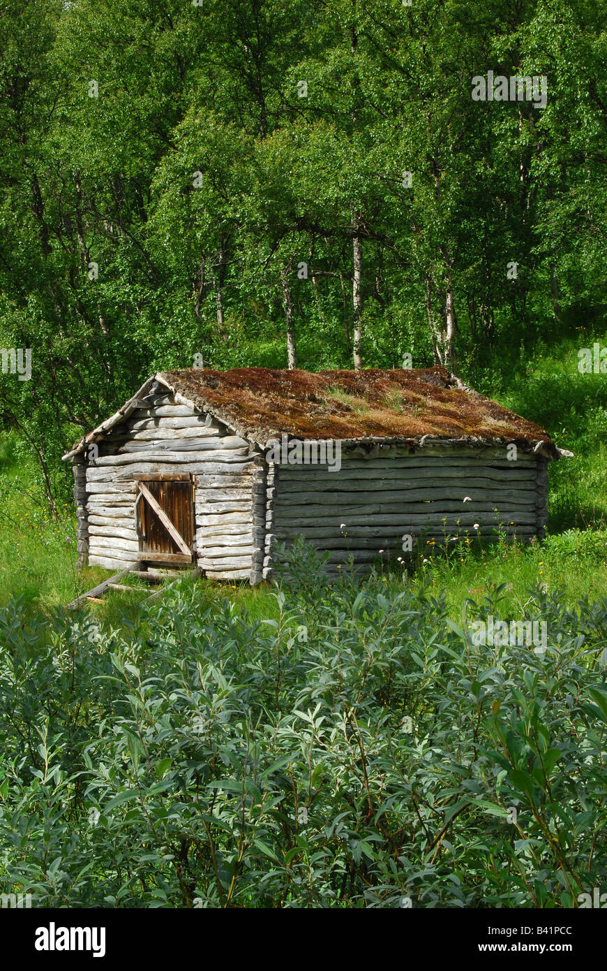 Hay Drying Barn Hemavan Vasterbottenslan Swedish Lapland