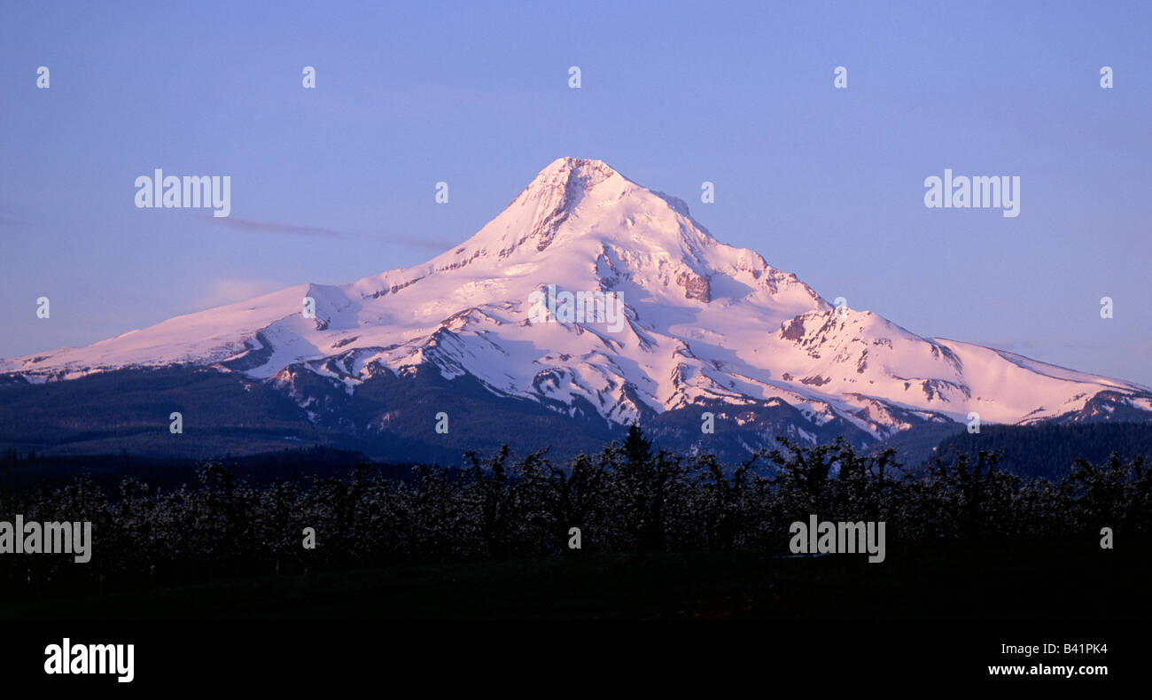 A view of Mount Hood from Parkdale Oregon in the Hood River Valley