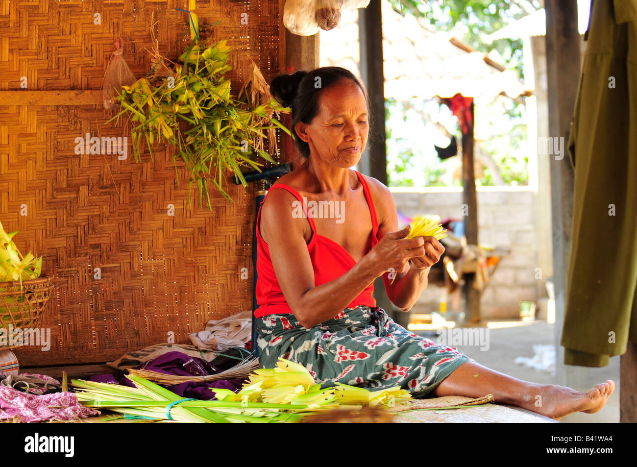 bali aga village life, old lady preparation flower offerings for temple festival, bali aga village life, semberan , north bali , Stock Photo