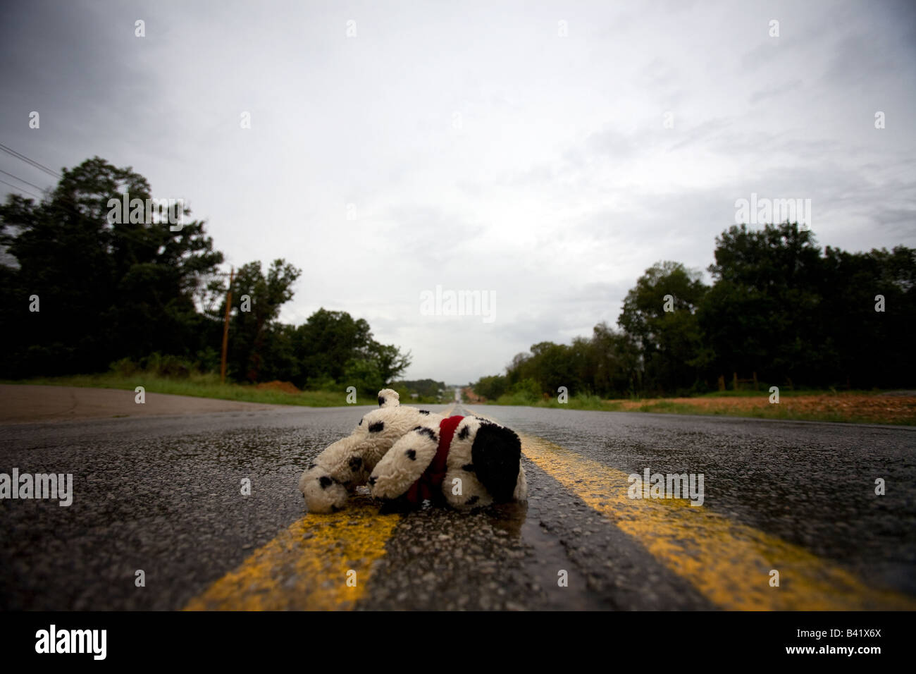 A toy dog lies in the middle of a road in Bethel Heights, Arkansas, U.S.A. Stock Photo