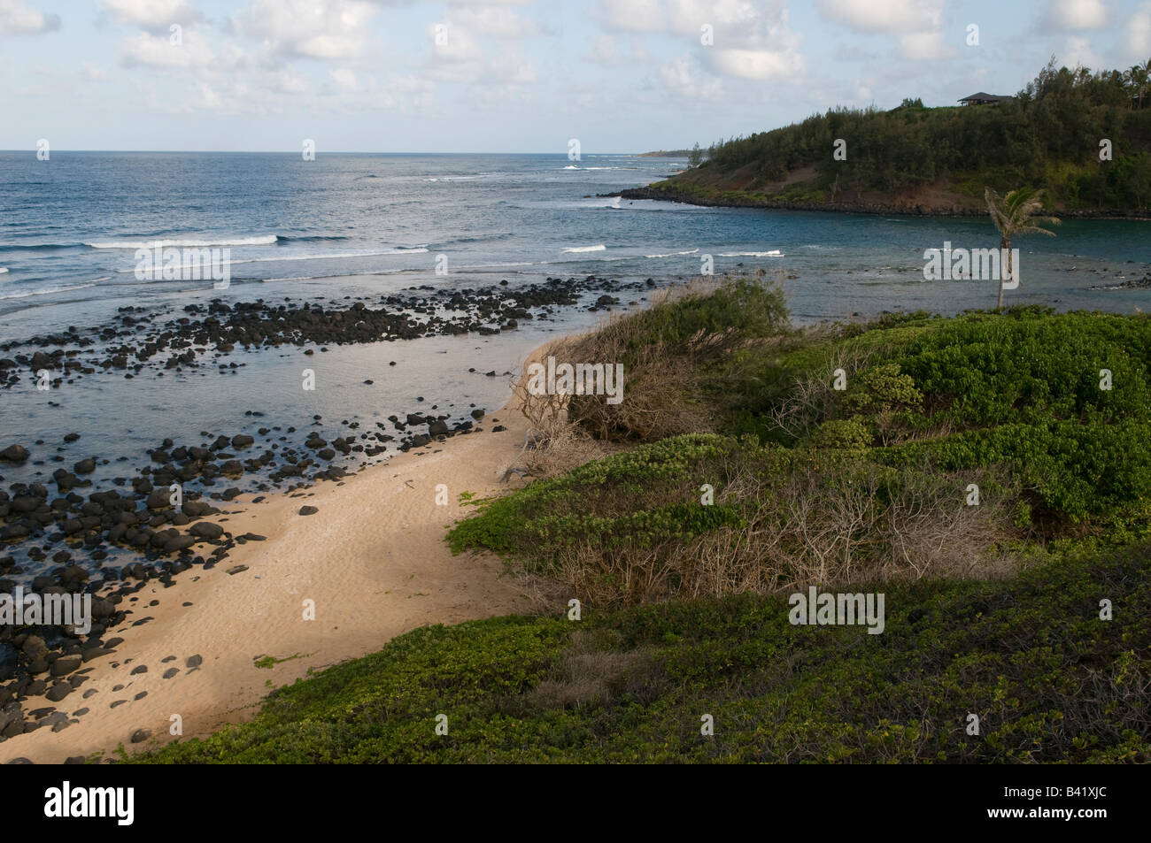 Papaa hires stock photography and images Alamy