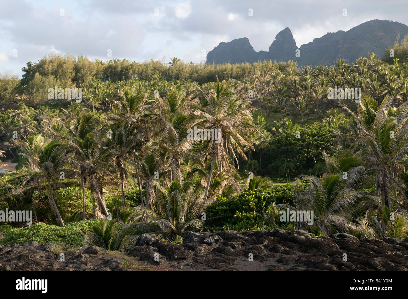 View of the Anahola Mountains from Papaa Bay Kauai Hawaii Stock Photo Alamy