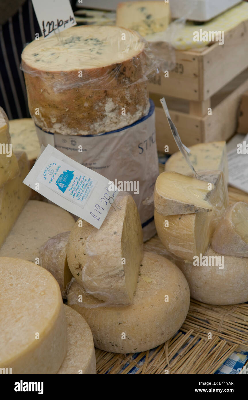Monkland specialist artisan cheese on sale at the food festival Ludlow Shropshire England UK Stock Photo
