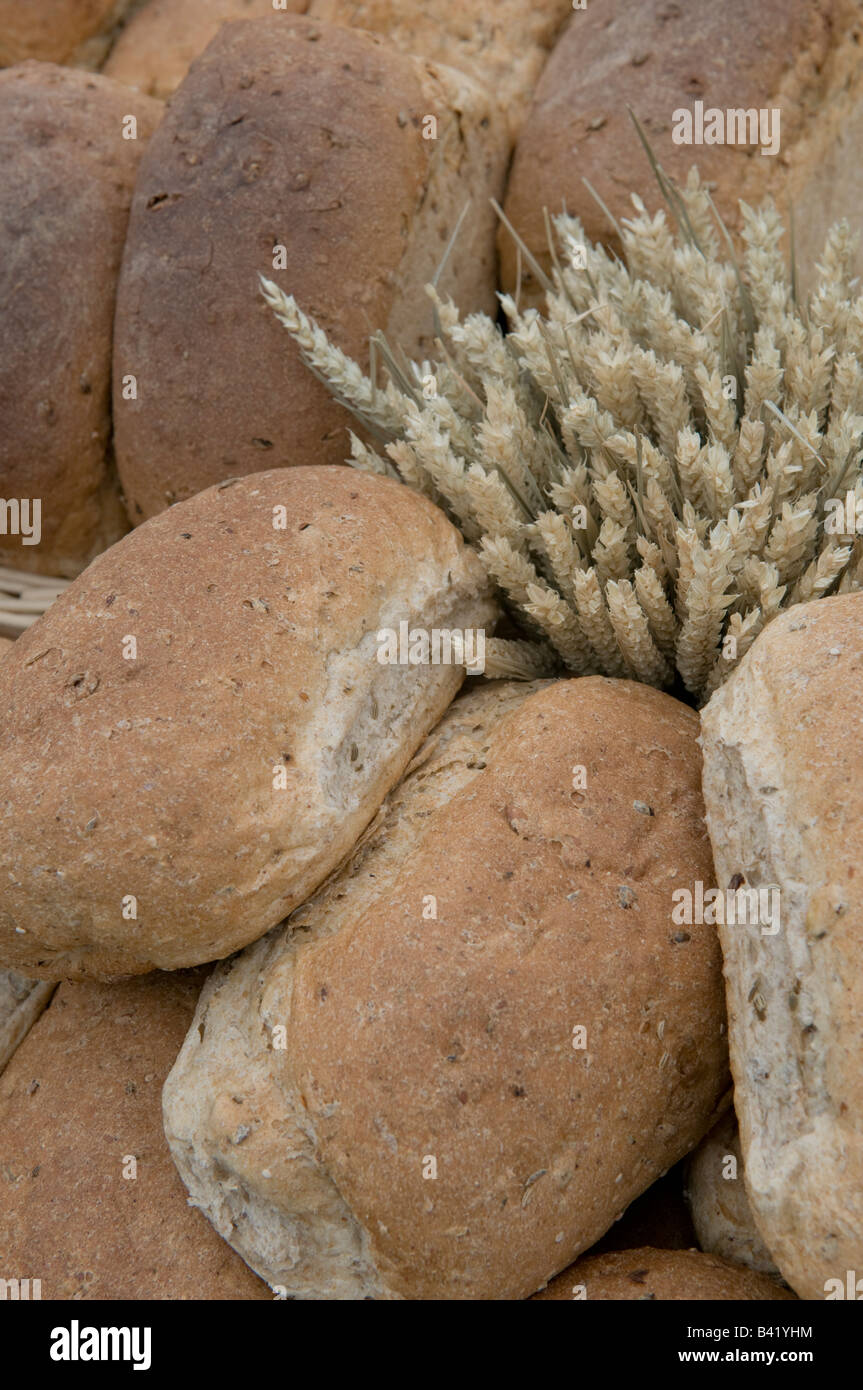 loaves of fresh baked granary brown bread at the food festival Ludlow Shropshire England UK