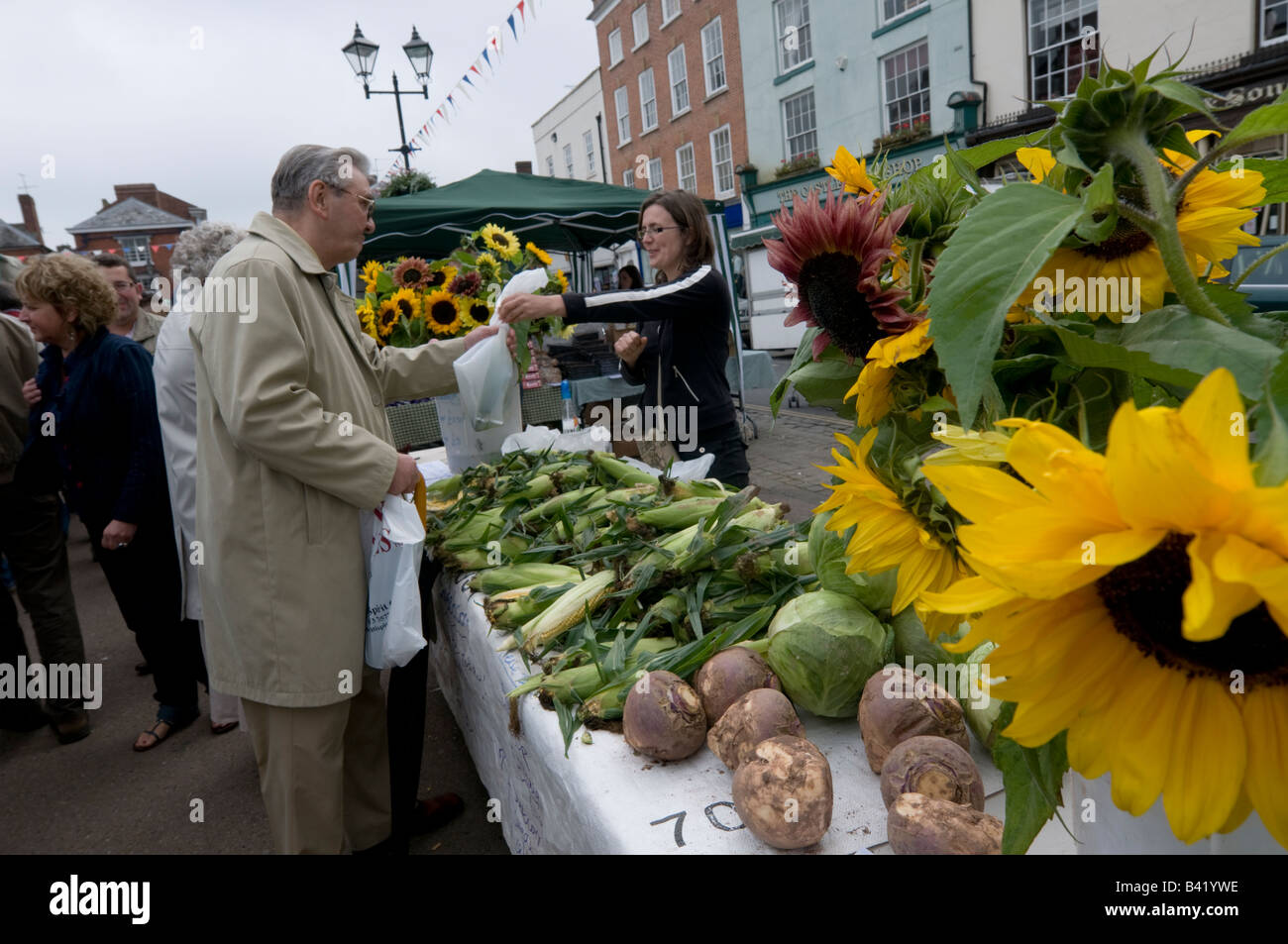 Woman selling fresh locally grown corn on the cob and sunflowers from market stall at Food festival Ludlow Shropshire England UK Stock Photo