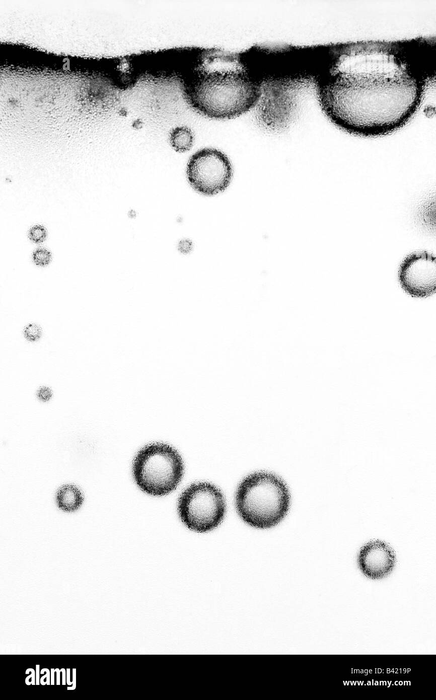 close up shot of air bubbles in a glass of water Stock Photo