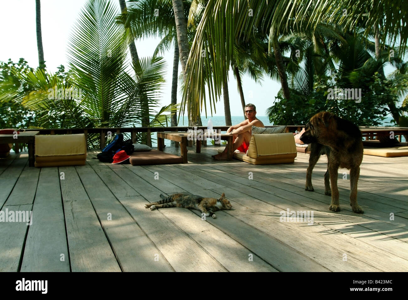 Man and animals in a restaurant on Ko Chang, Thailand Stock Photo - Alamy