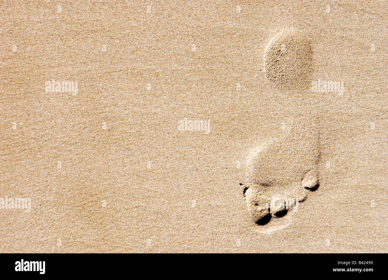 footprint in the sand of a beach Stock Photo - Alamy