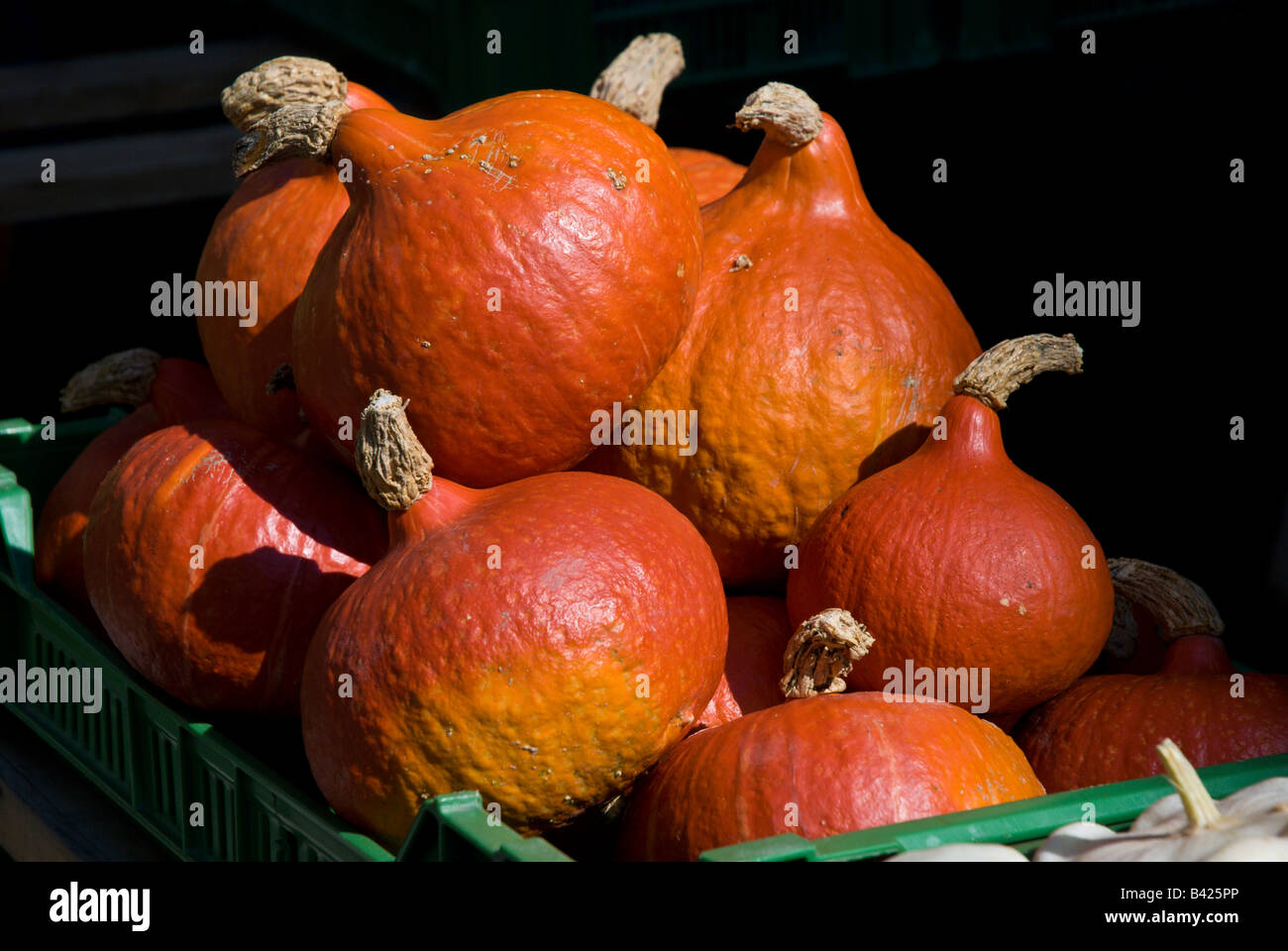 Stack of pumpkins at the saturday market Stock Photo