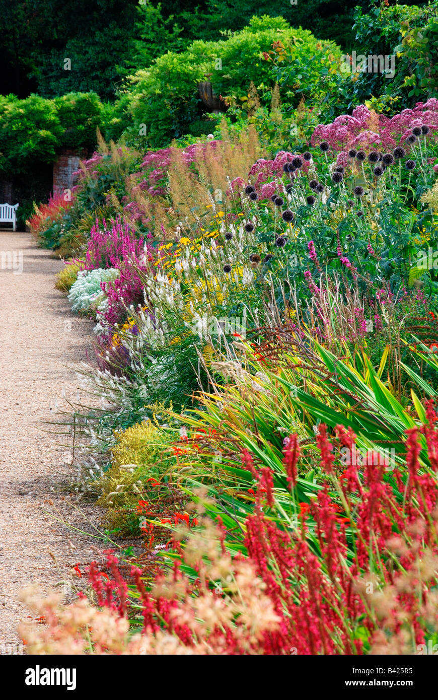 colourful garden border at bickley hall norfolk Stock Photo Alamy