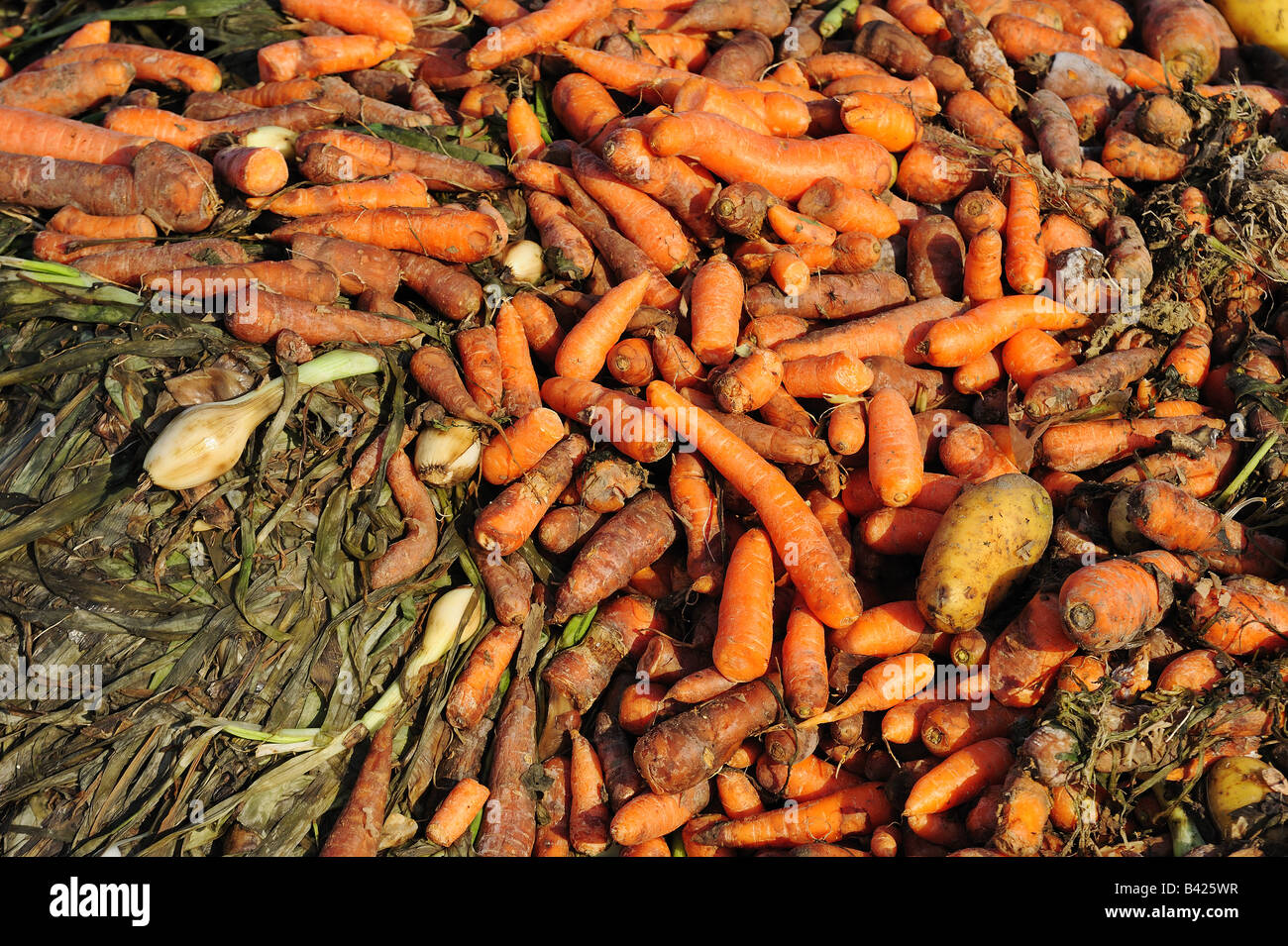 Waste vegetables Stock Photo