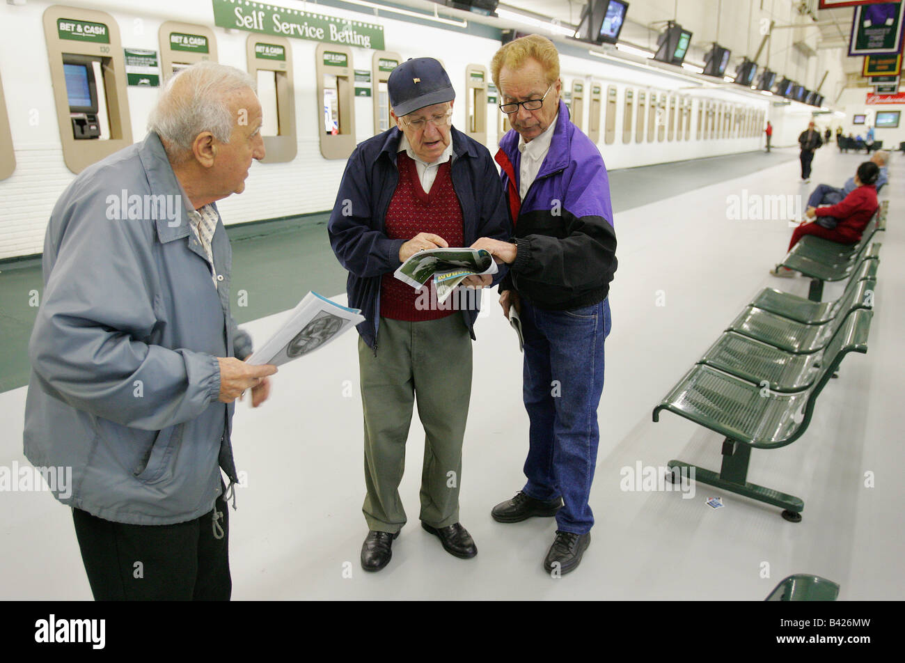 Men consult the racing form at Suffolk Downs in Boston Stock Photo