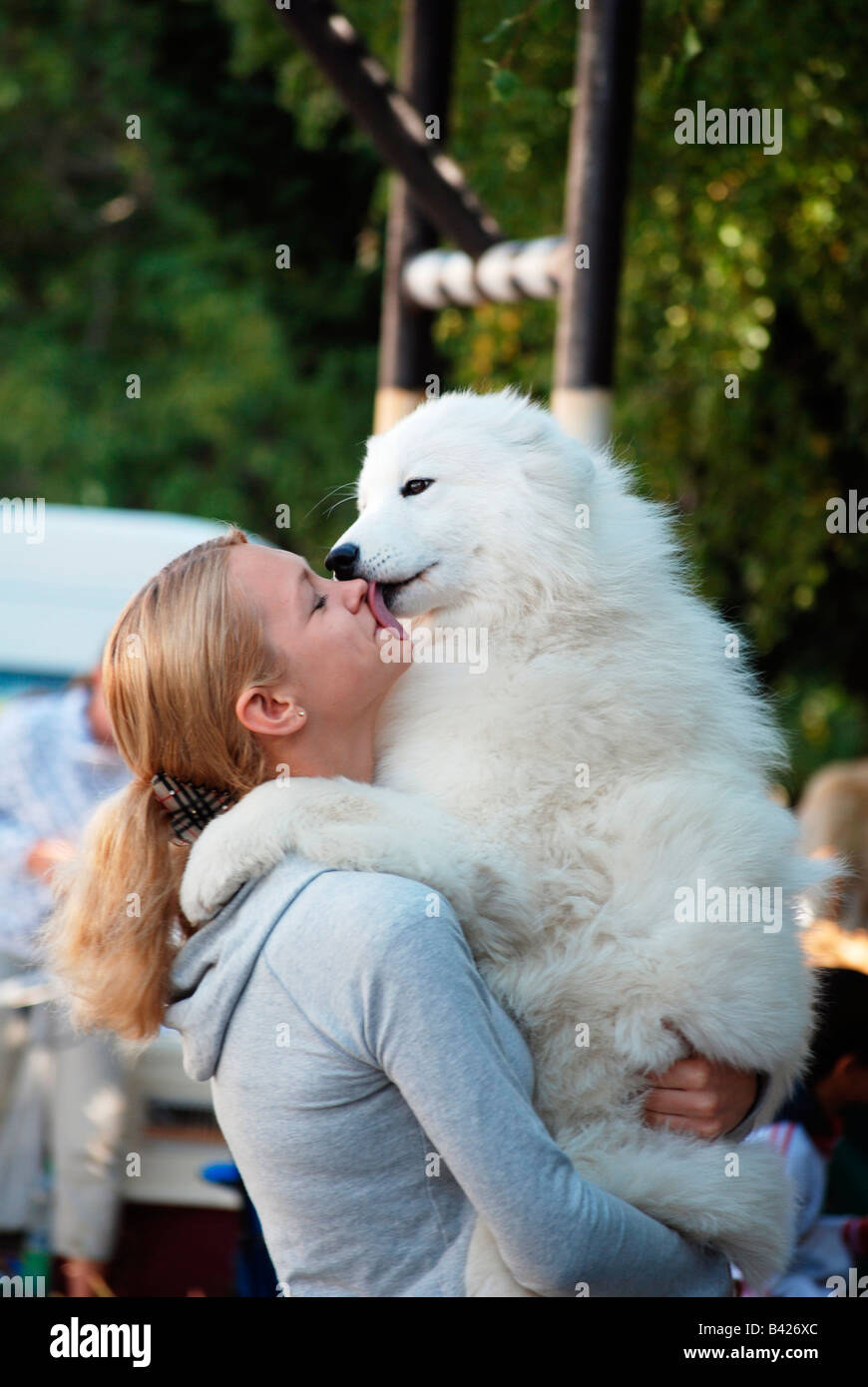 Do Dogs Like To Be Hugged And Kissed