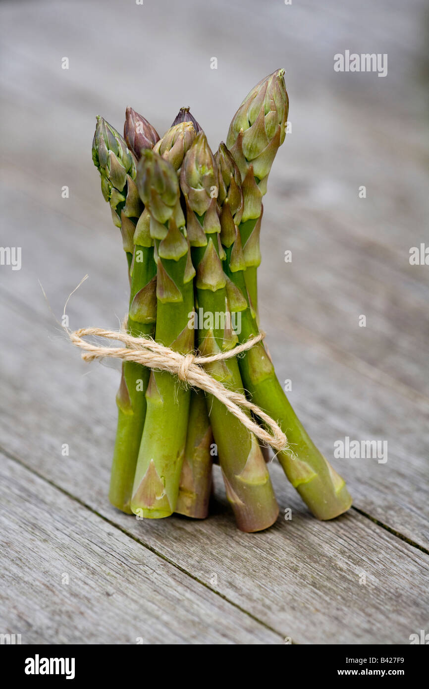 Asparagus officinalis Spears Stock Photo
