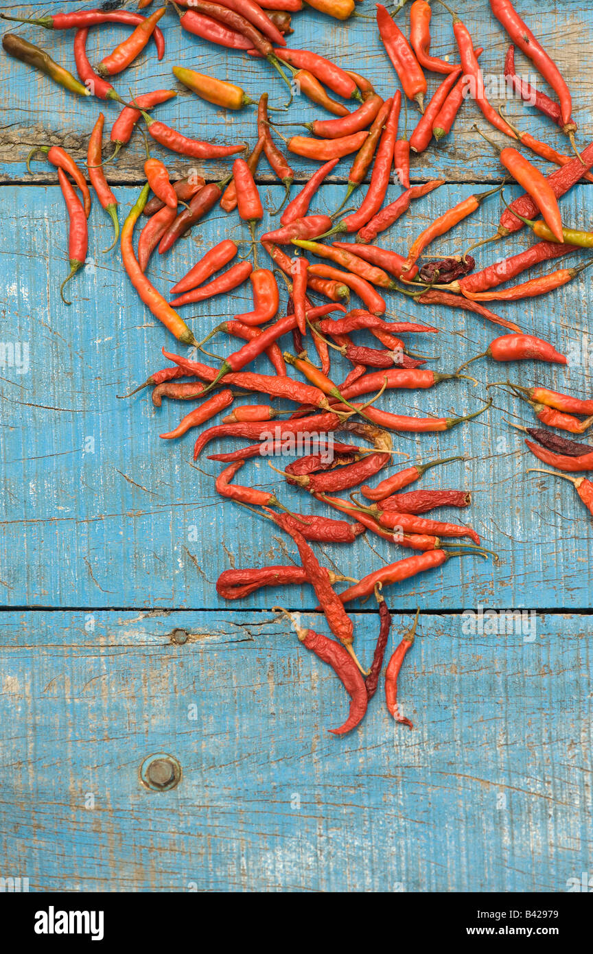 Red chillis drying on a blue cart Stock Photo