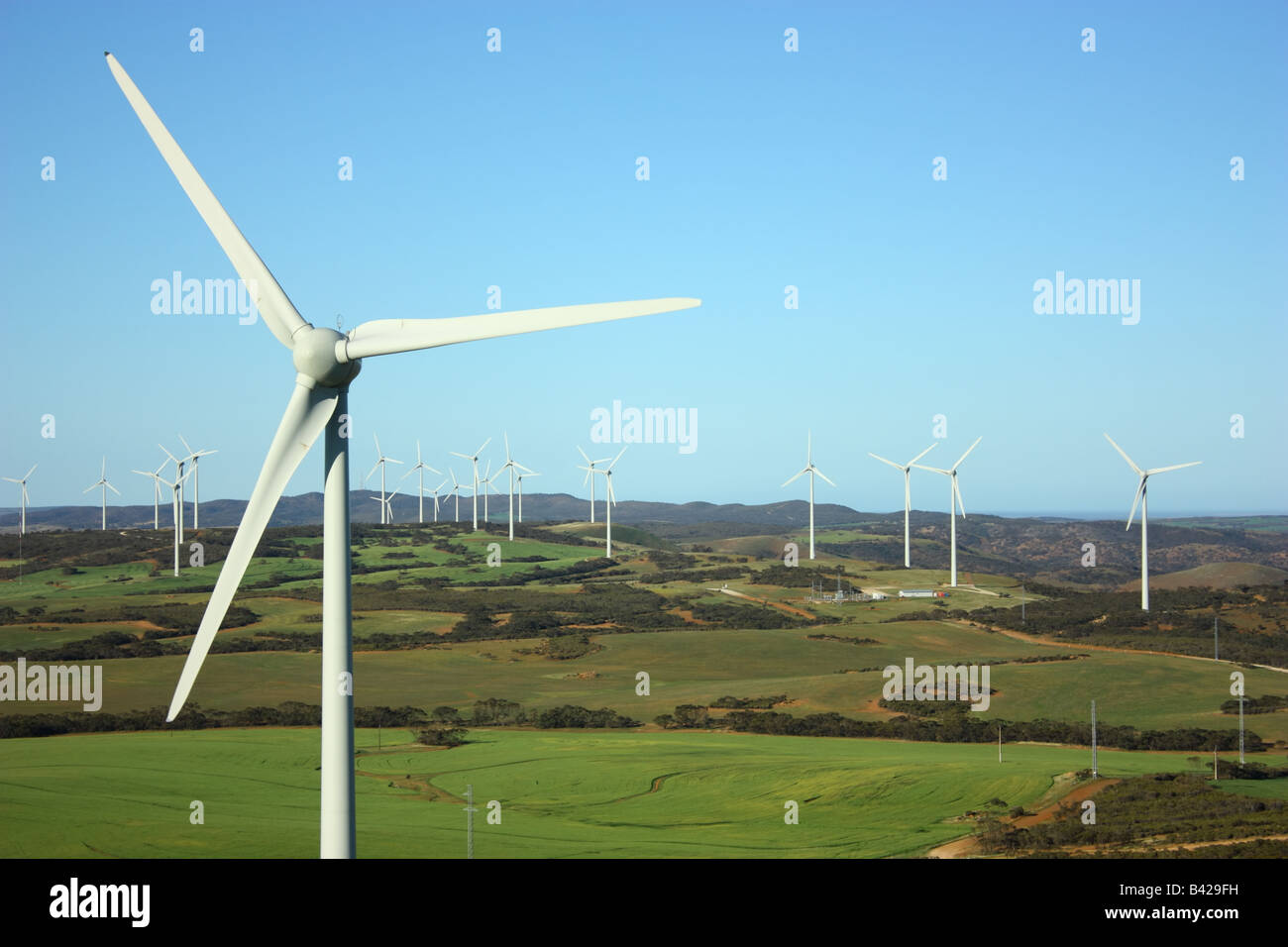 a large windfarm in south australia at midday Stock Photo