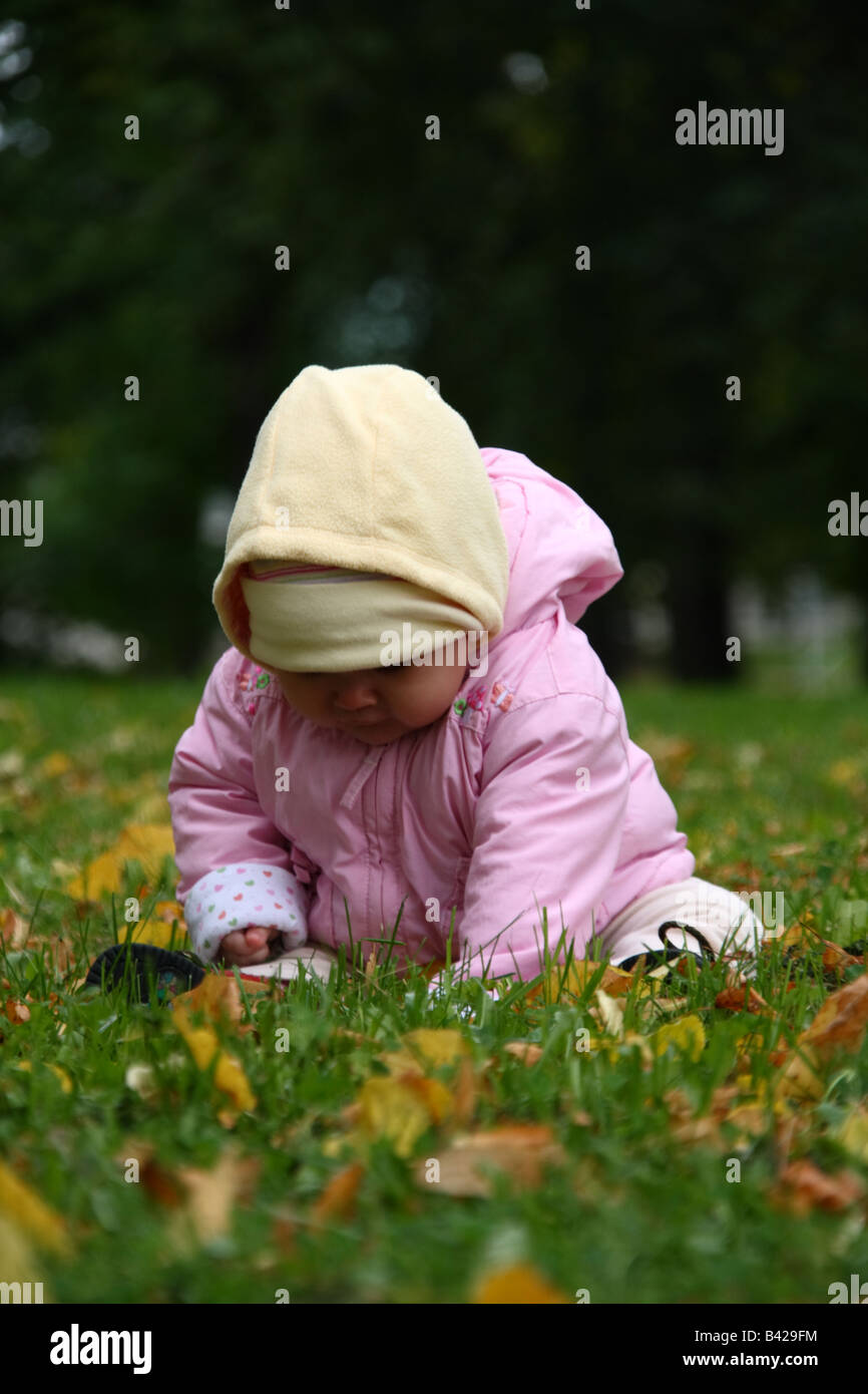Baby girl playing with autumn leaves in a park Stock Photo - Alamy