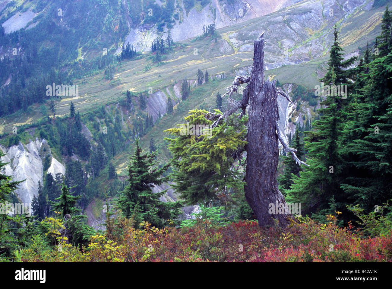 North Cascades USA Stock Photo