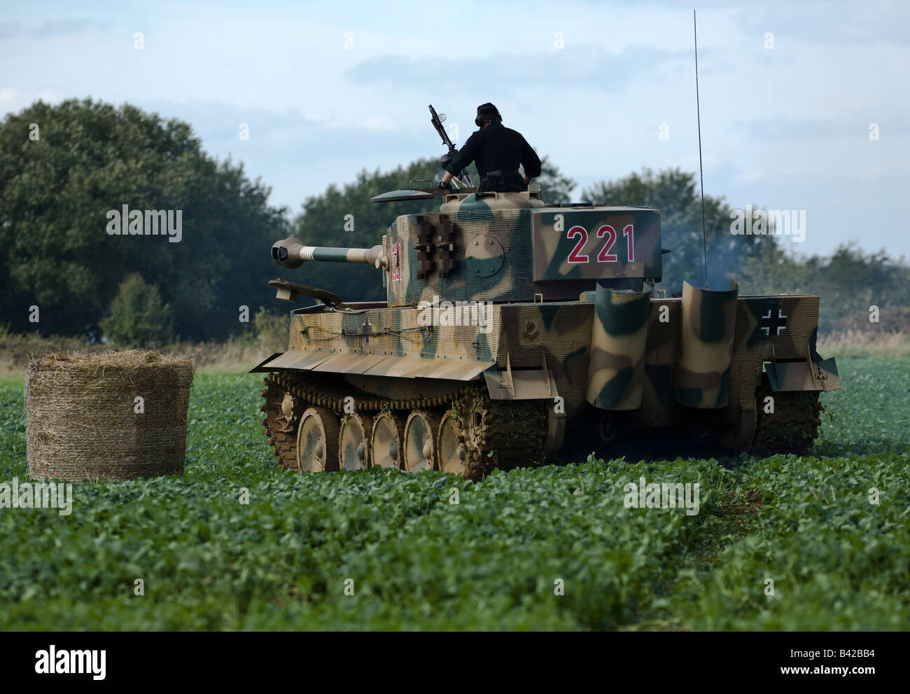 German WWII Tiger Tank crosses a field of young crops in a battle re-enactment at Spanhoe Airfield, Northamptonshire Sept 2008 Stock Photo