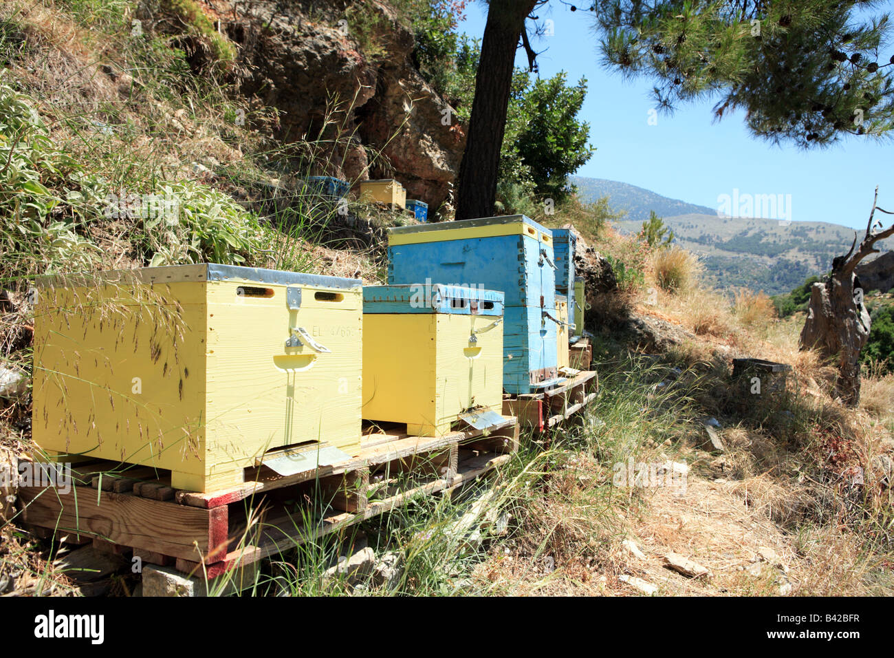 A beekeepers Langstroth type hives in the mountains behind Sougia south-western Crete, Greece Stock Photo