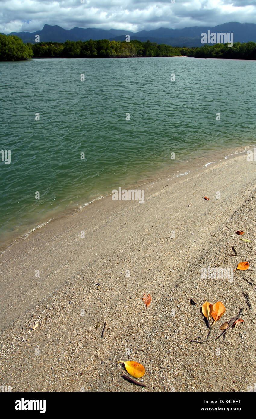 Mangrove creeks running out onto Newell Beach, near Mossman, north