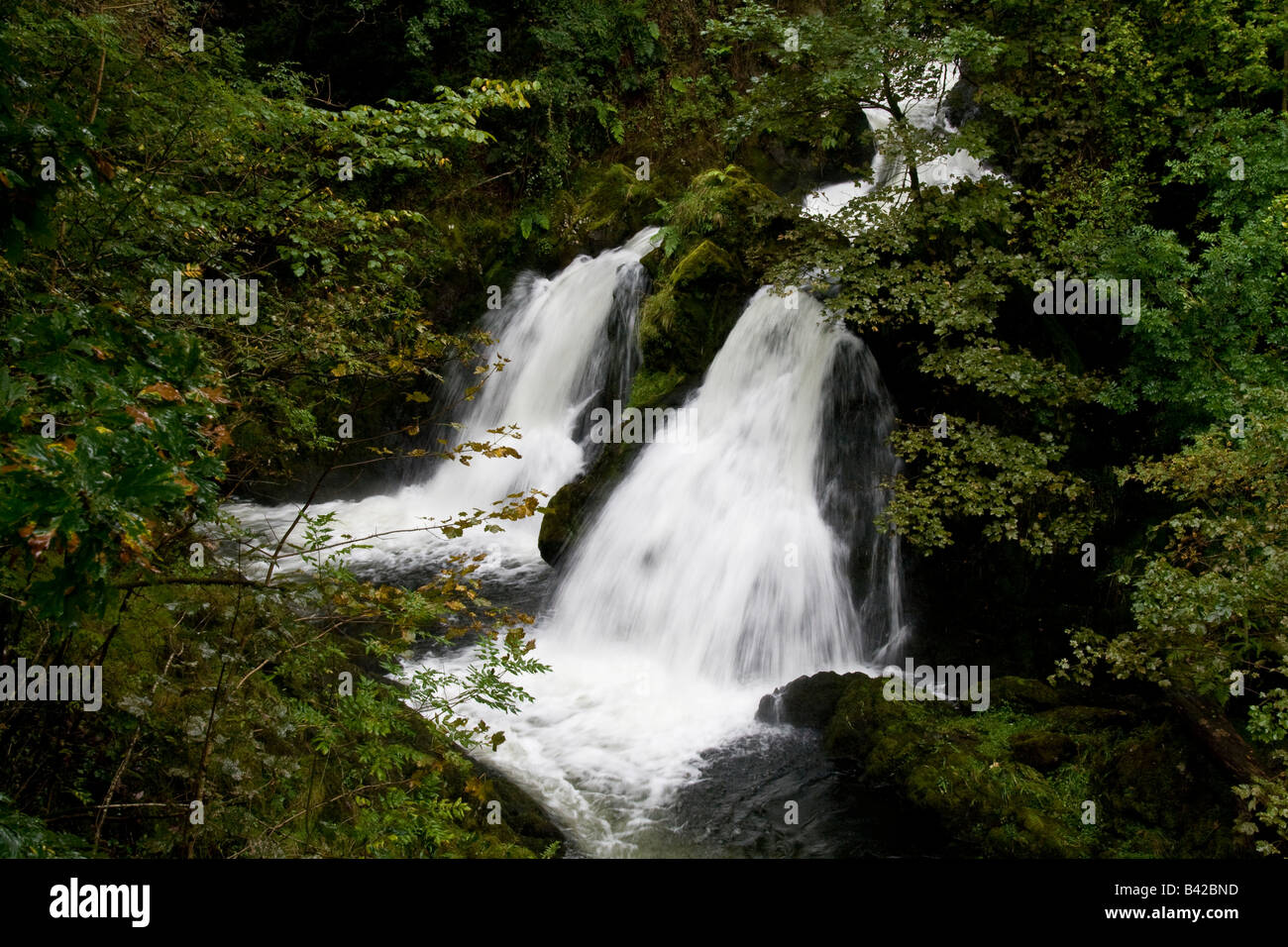 Colwith Falls, Little Langdale, Lake District, Cumbria Stock Photo