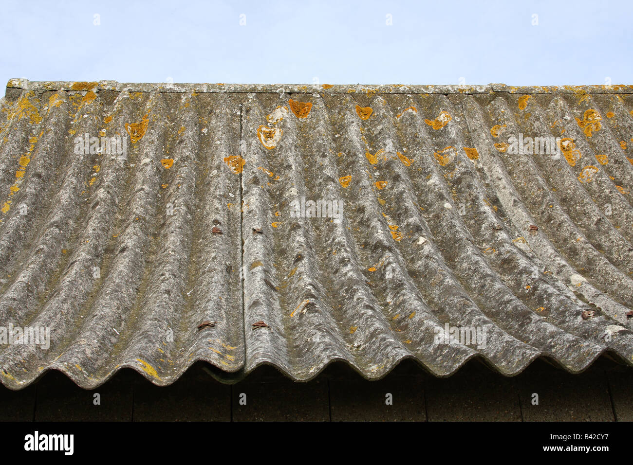 Corrugated asbestos roofing. Stock Photo