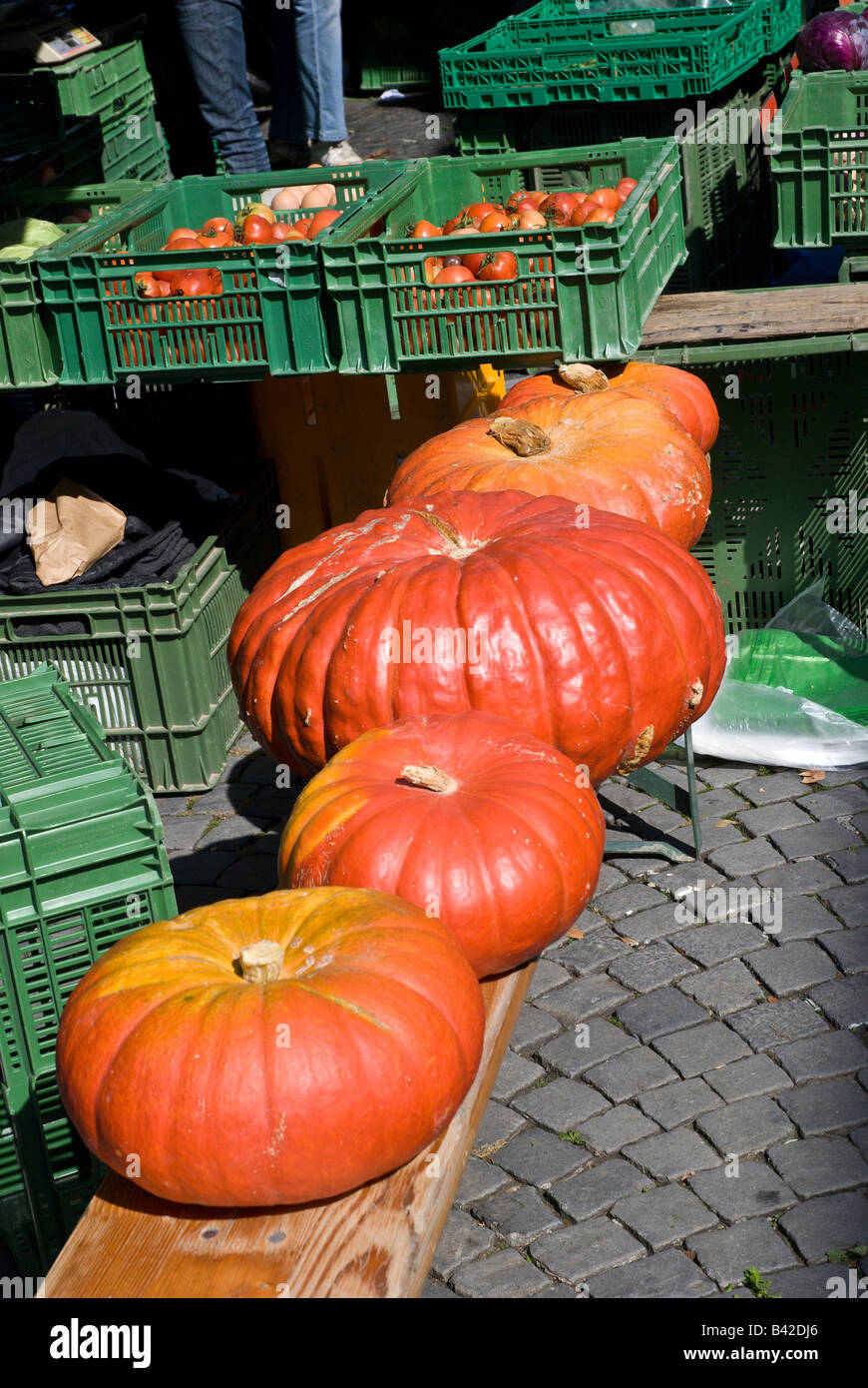 A row of pumpkins sit on a bench waiting to be sold at the farmer s ...