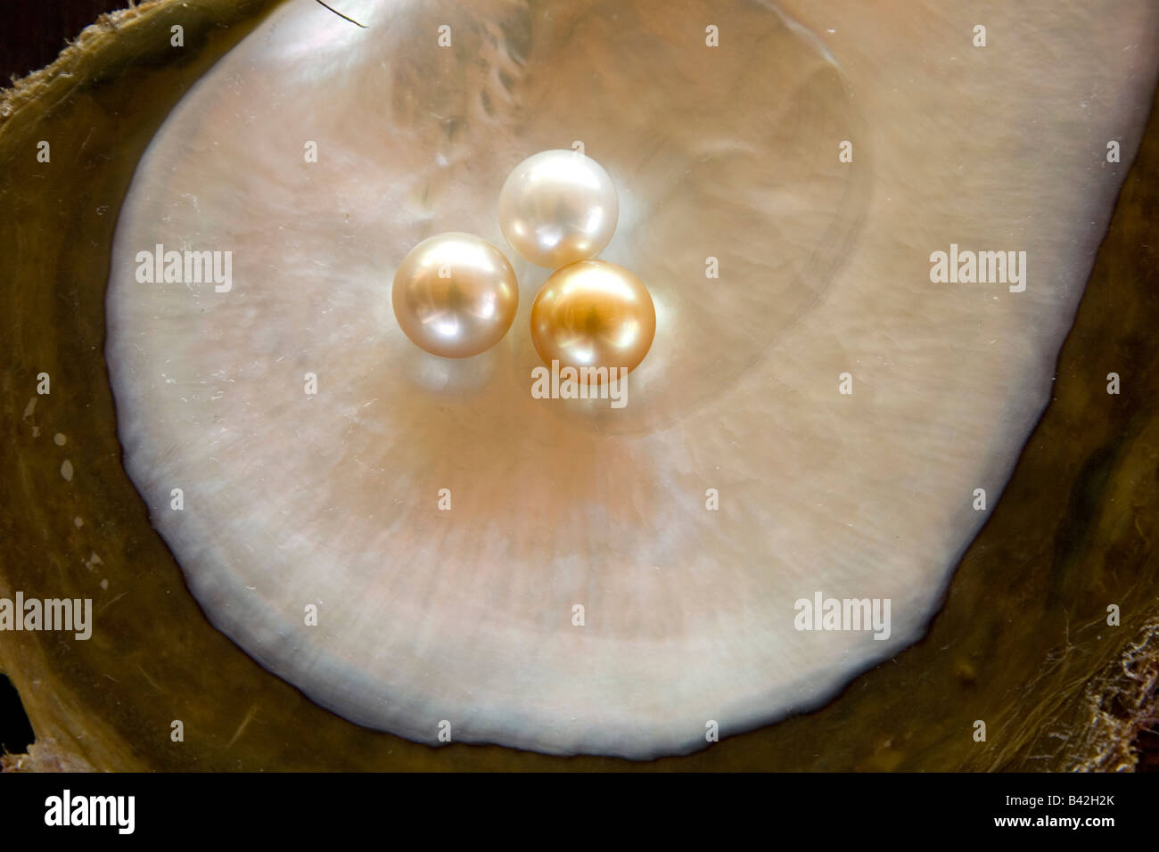 Lustre Surface High Resolution Stock Photography and Images - Alamy