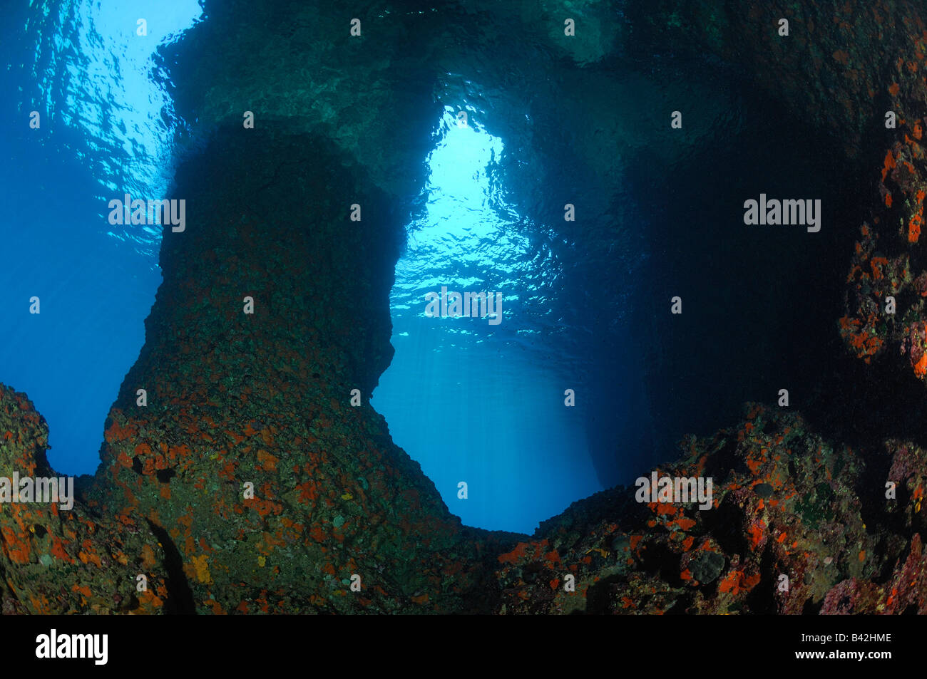 Underwater Cave Bili Rat Vis Island Adriatic Sea Croatia Stock Photo