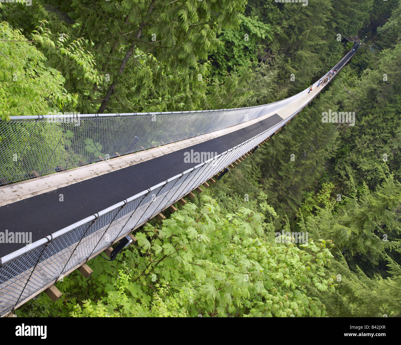 Swinging Bridge Vancouver Stock Photos Swinging Bridge