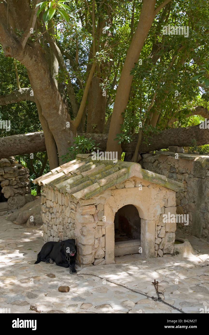 Dog house with sleeping dog at Camino d els Calderers d San Juan, Majorca, the largest island of Spain, Europe on the Stock Photo