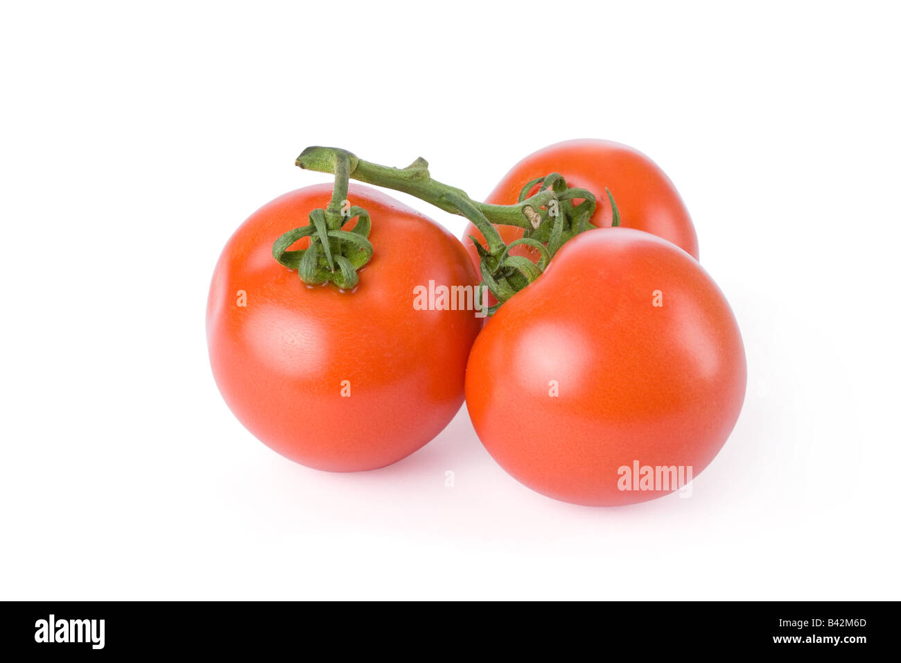 Ripe tomatoes isolated on a white background Stock Photo - Alamy