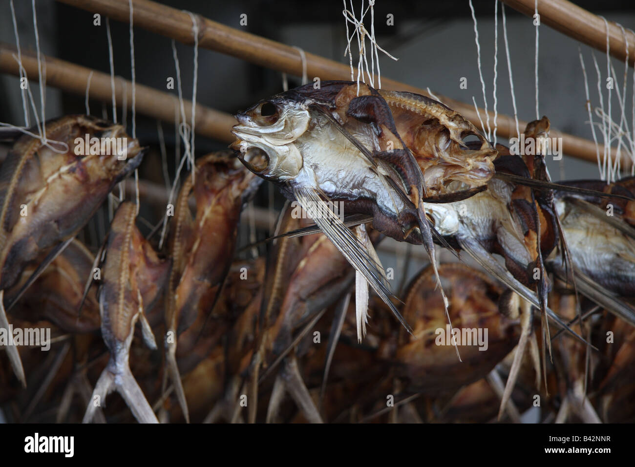 Dried fish Lanyu Island (Orchid Island), Taiwan Stock Photo