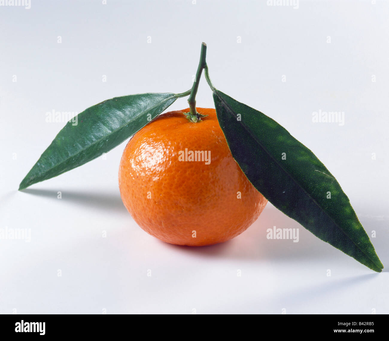 Mandarine Stock Photo