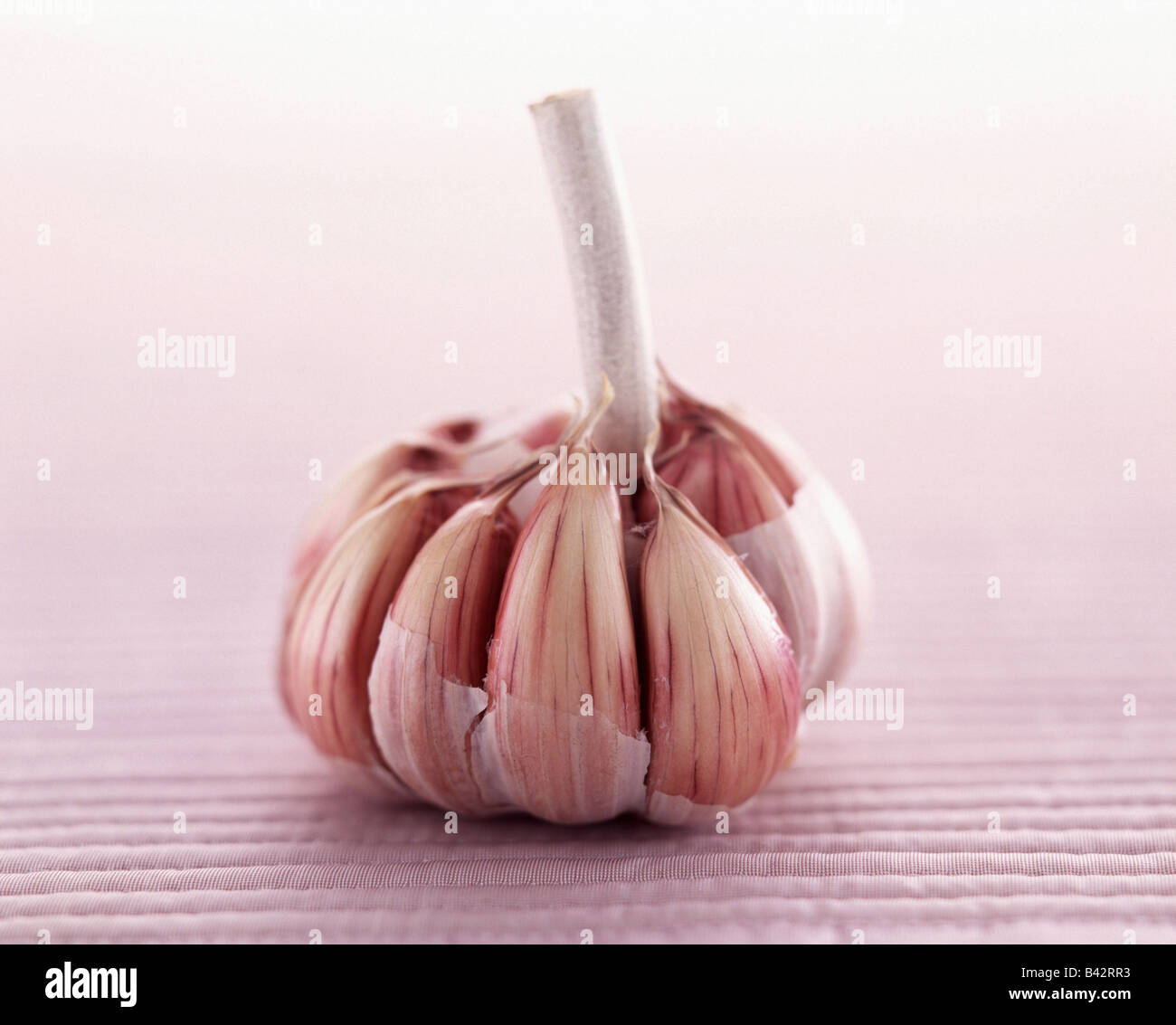 Head of garlic Stock Photo Alamy