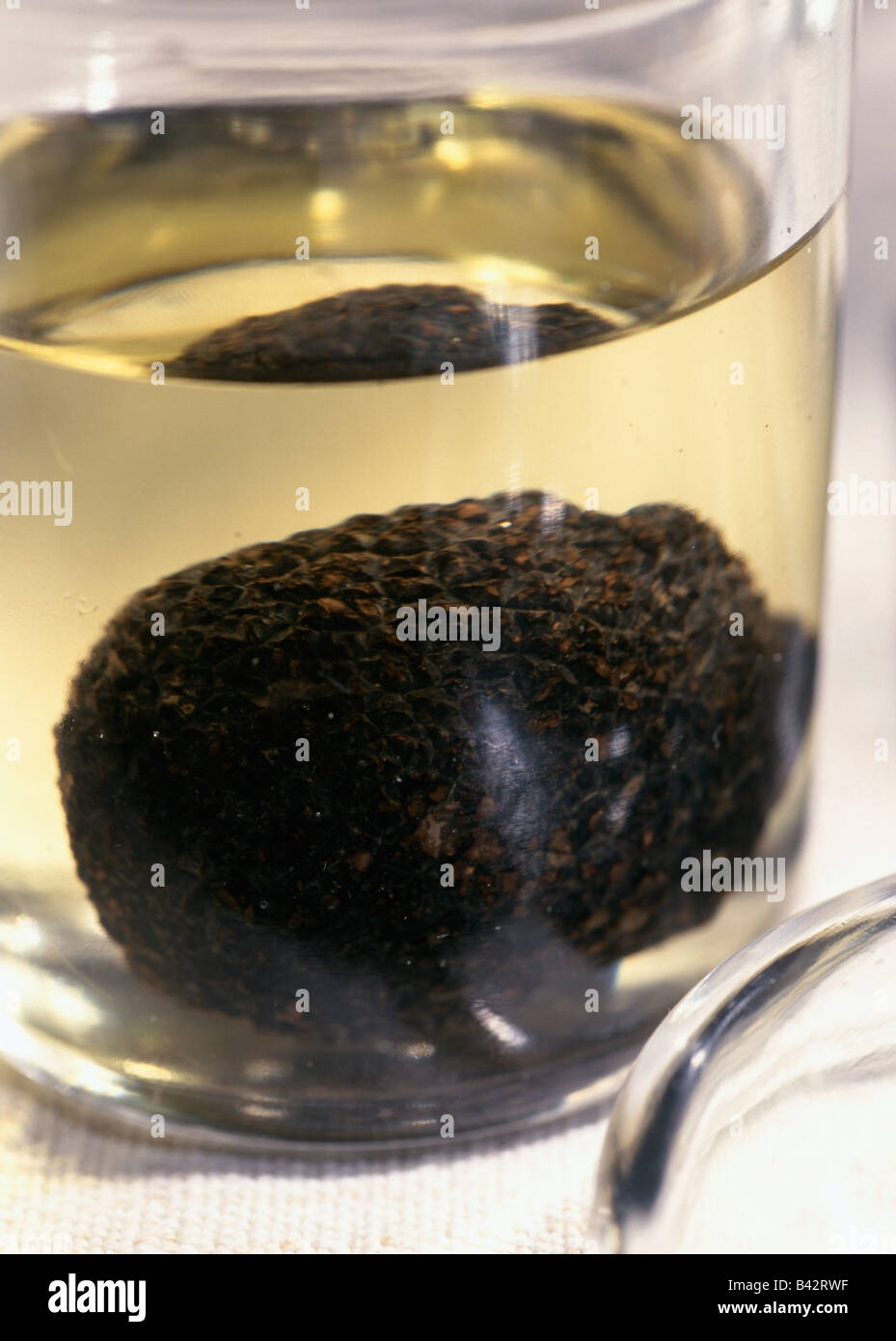 Black truffle in oil in a jar Stock Photo Alamy