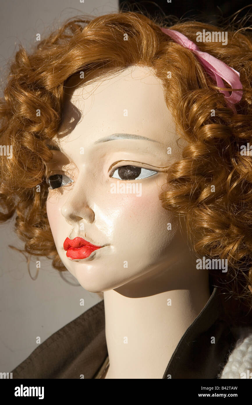 Fashion Mannequin Doll Wig Head - Doll Head - Posters and Art