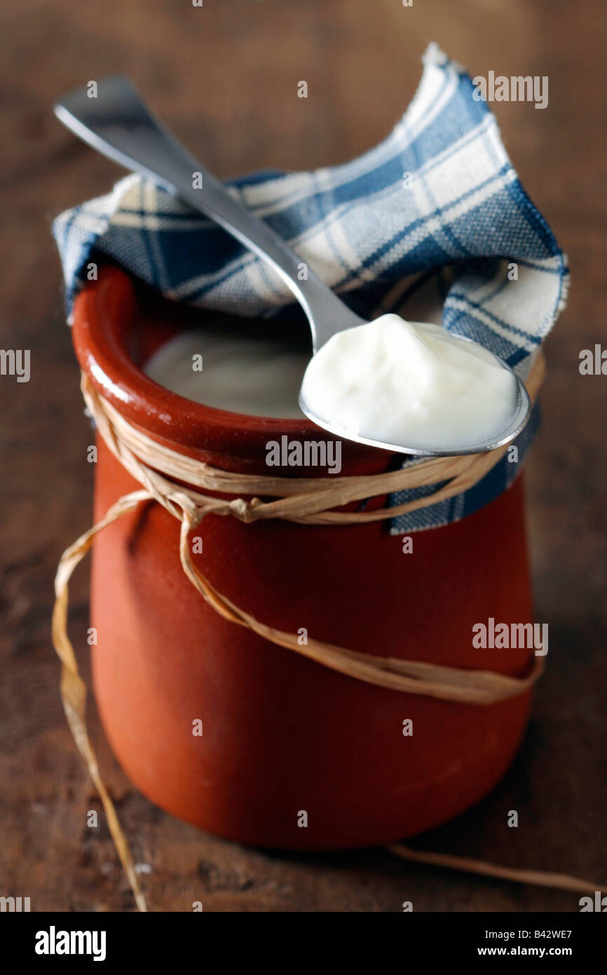 plain, traditional yoghurt Stock Photo Alamy