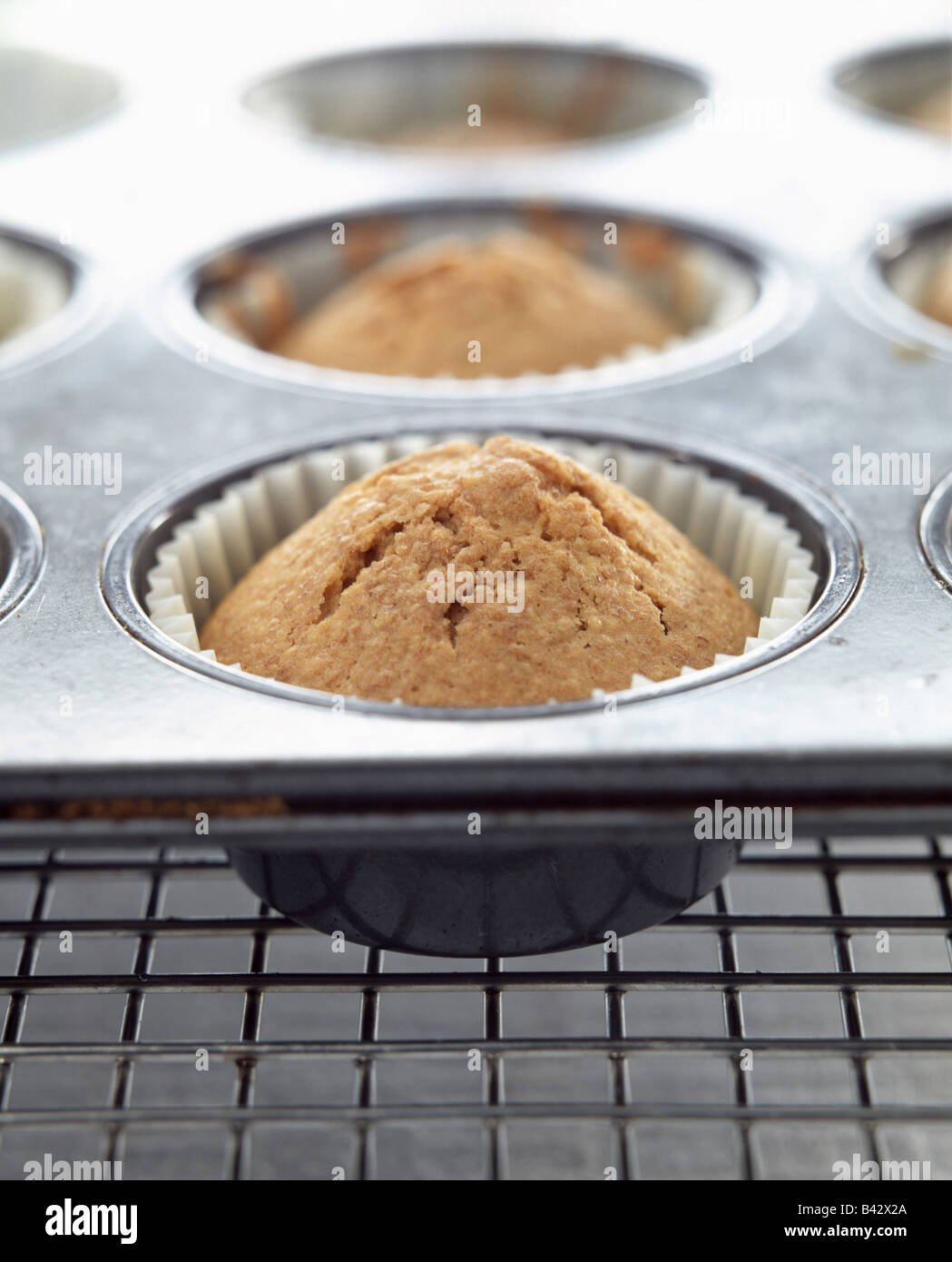 madeleines in tin mould Stock Photo Alamy