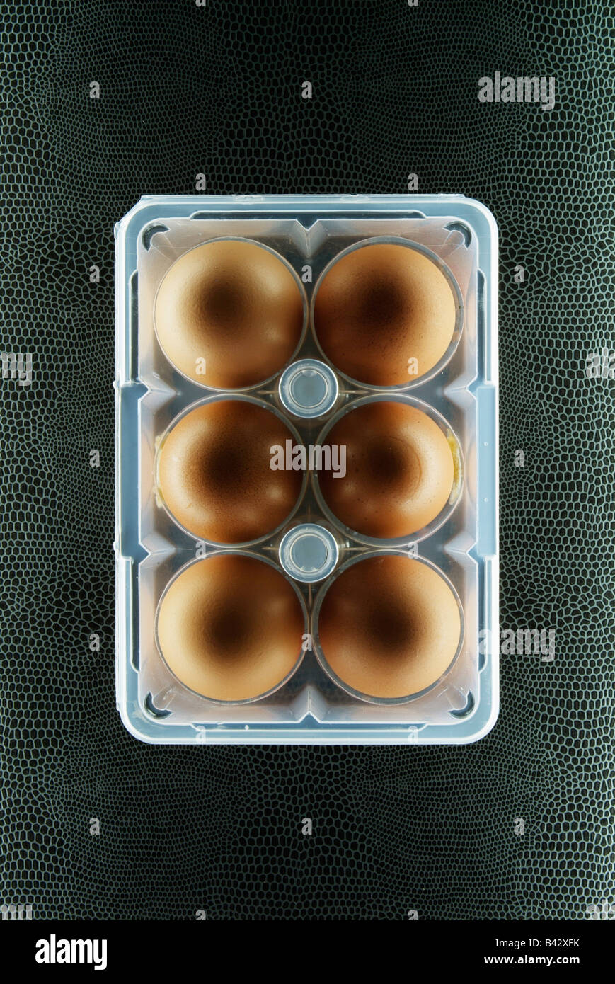 box of eggs Stock Photo Alamy