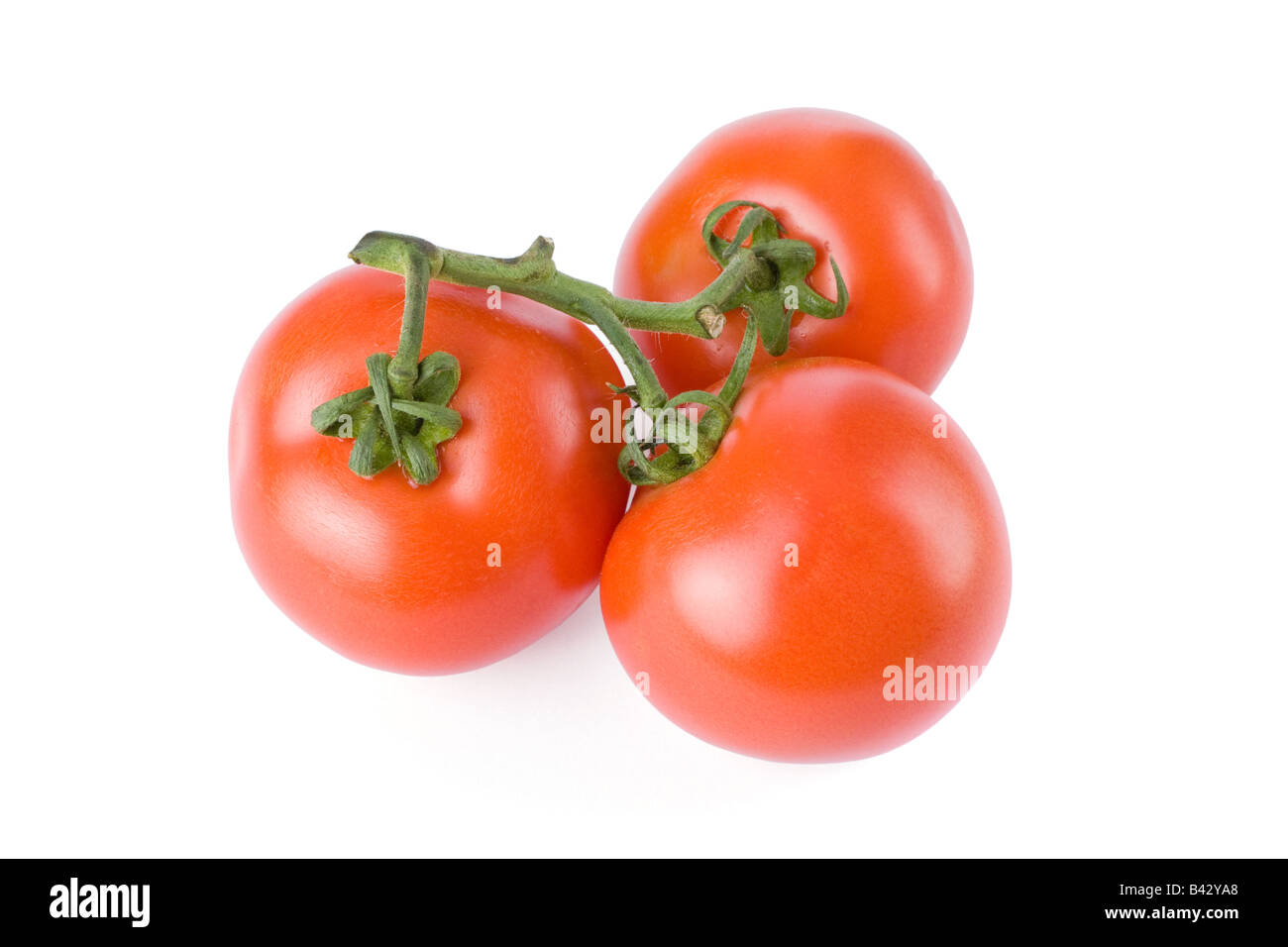 Ripe tomatoes isolated on a white background Stock Photo - Alamy