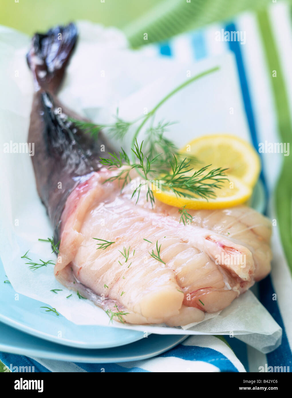 Raw monkfish Stock Photo