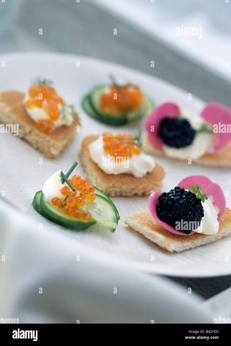 Fish roe appetizers Stock Photo Alamy