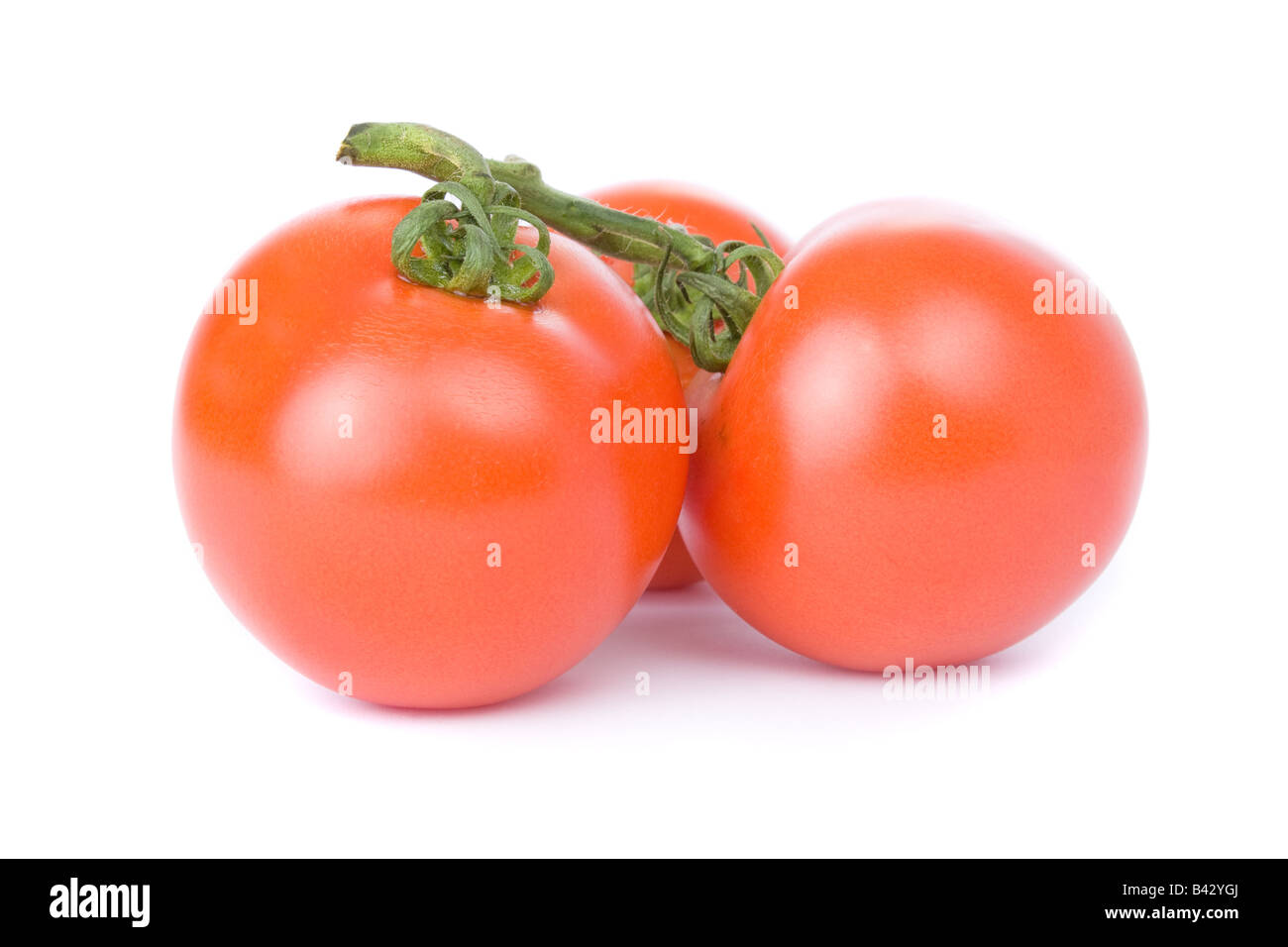 Ripe tomatoes isolated on a white background Stock Photo - Alamy