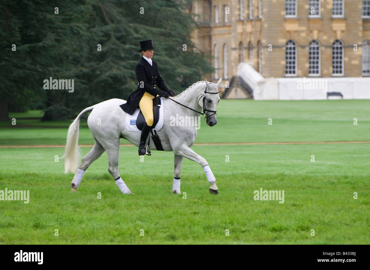 horse and rider at blenheim palace horse trials Stock Photo Alamy