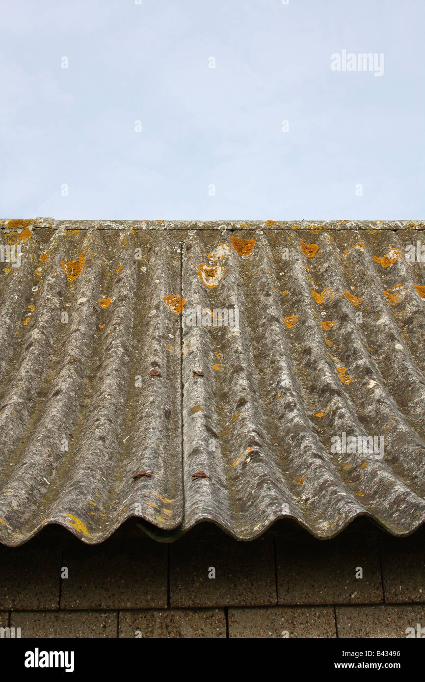 Corrugated asbestos roofing. Stock Photo