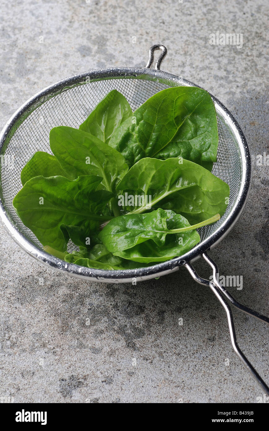 Fresh spinach in strainer Stock Photo Alamy