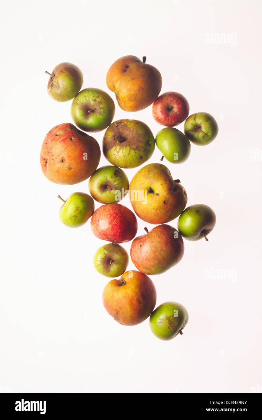 Discovery variety apples hi-res stock photography and images - Alamy