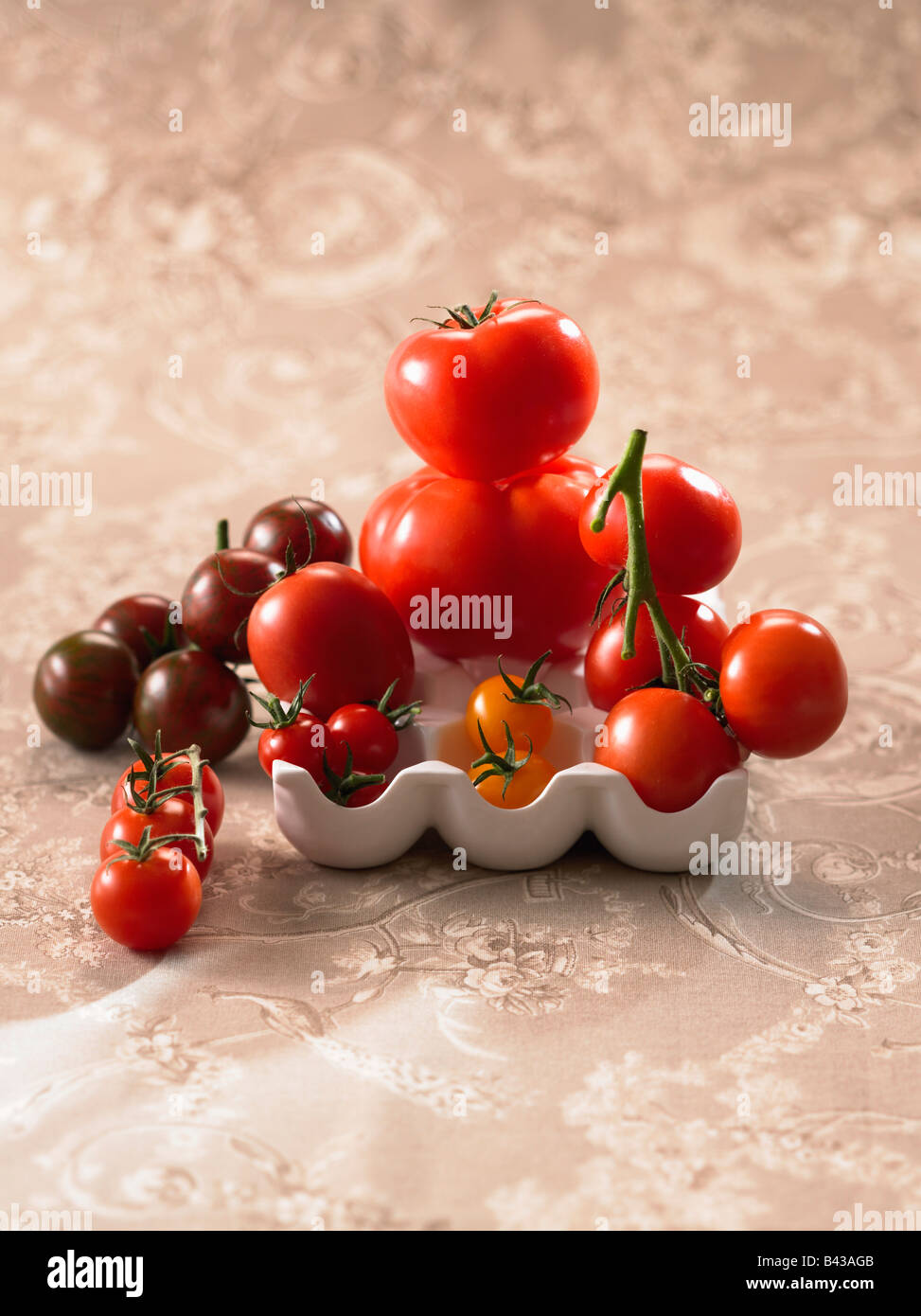 Selection of tomatoes Stock Photo